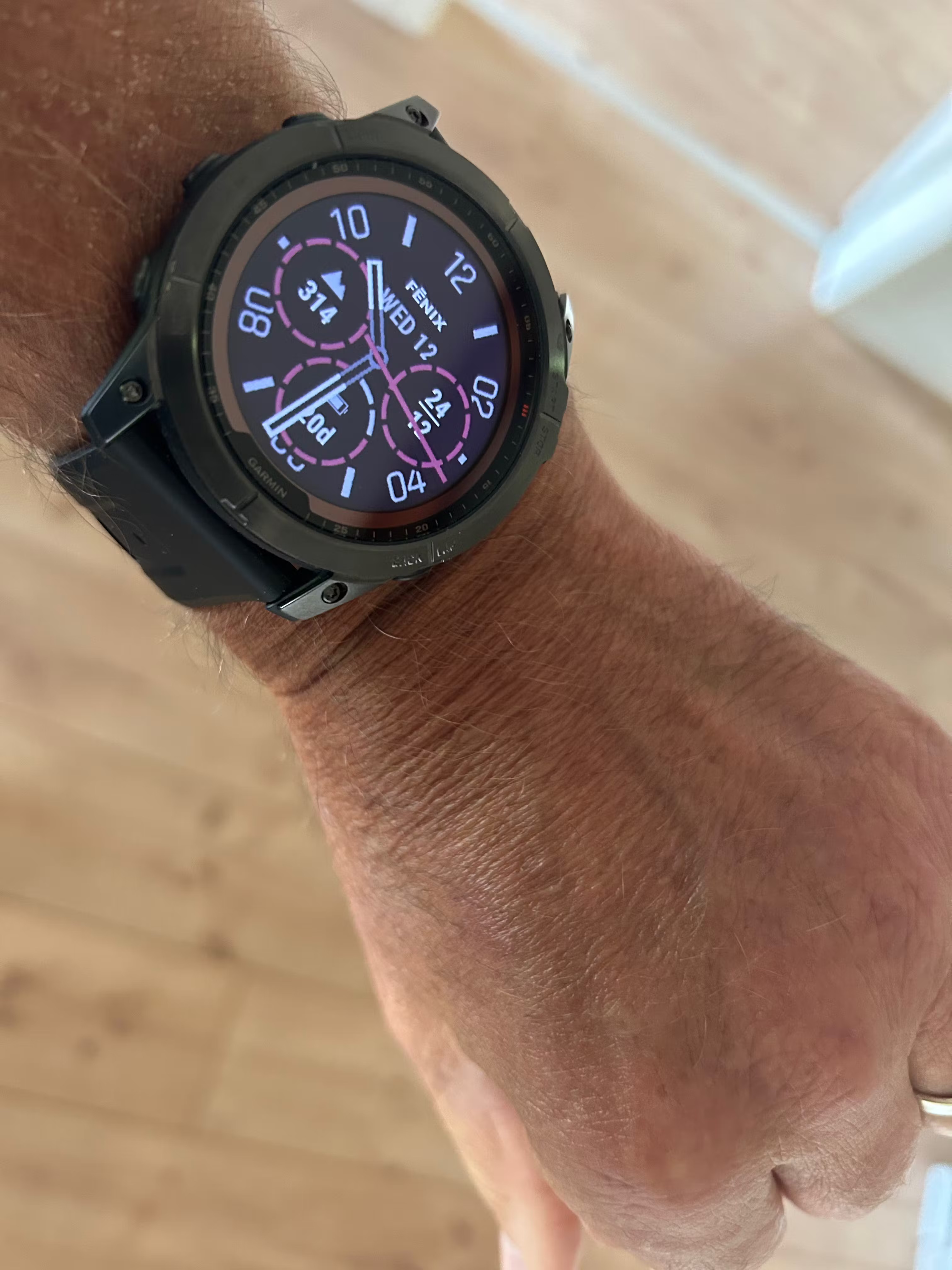 Garmin Sports Watch