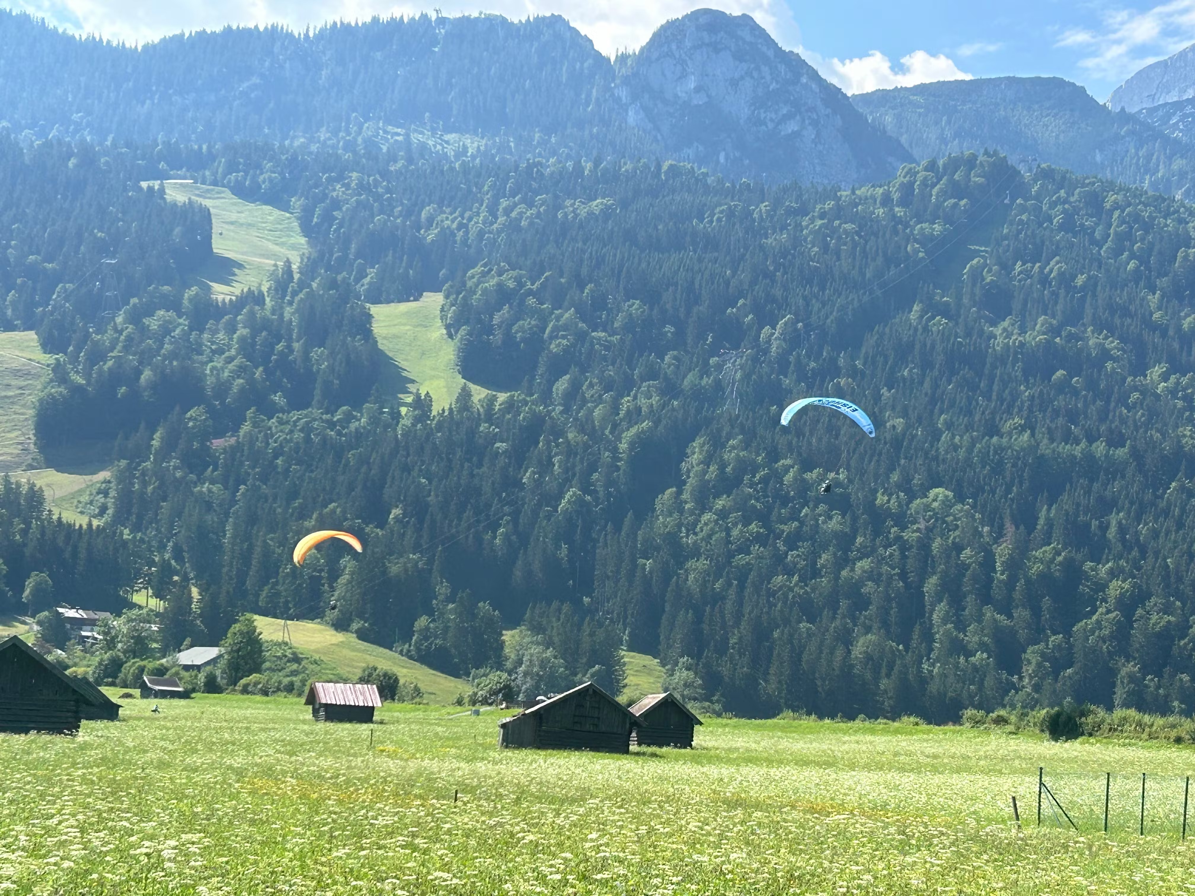 Paragliders